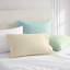 Ensemble de draps en coton percale vert Martha Stewart Skylands-115629698-115629696