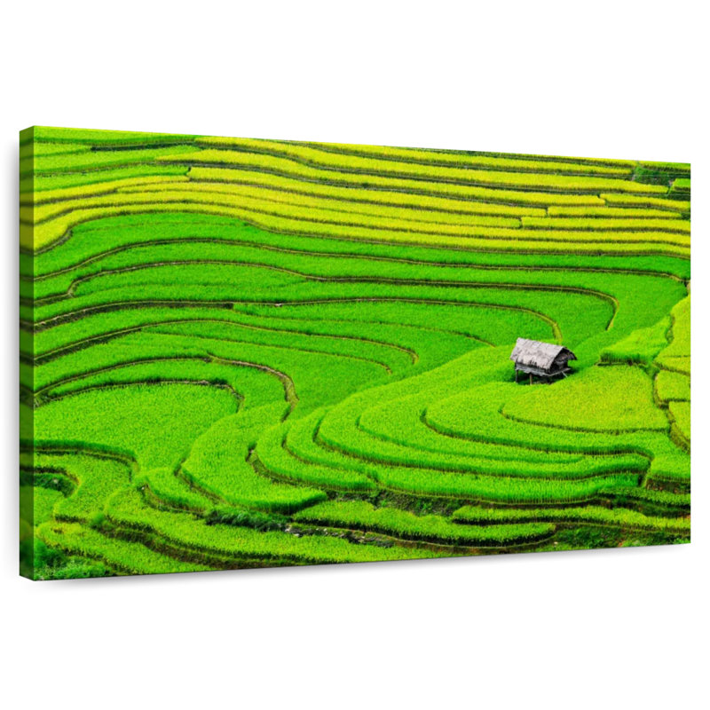 Champ de riz Alvord Ha Giang
