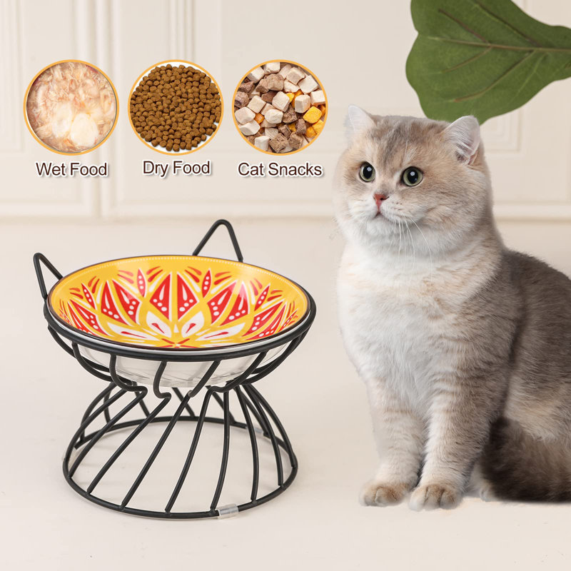 Elevated Feeder