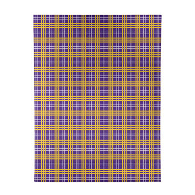 Plaid Indoor Rug