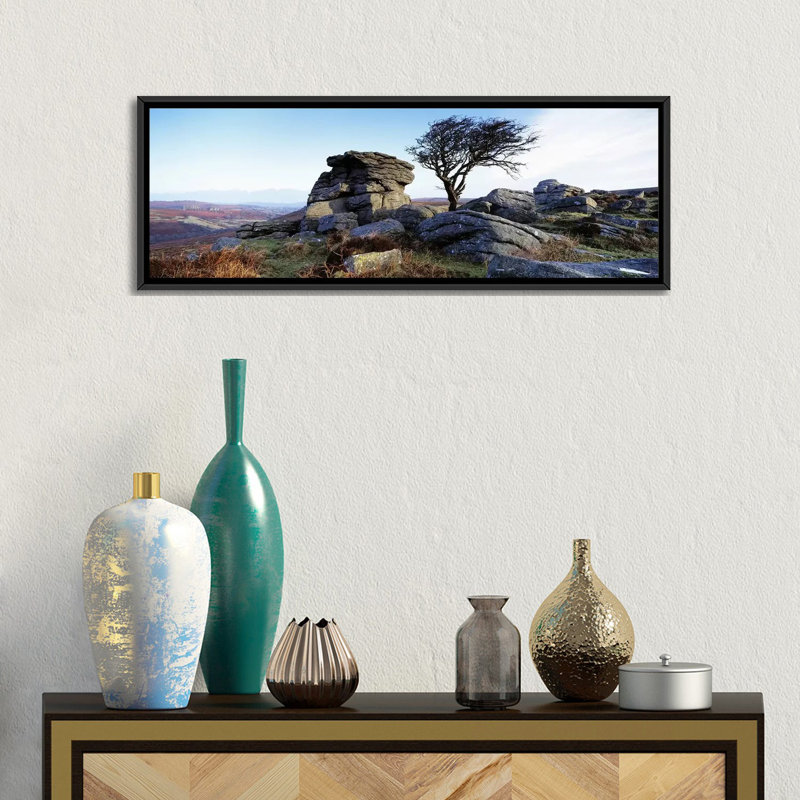 «Panoramic Bare Tree Near Rocks, Haytor Rocks, Dartmoor, Devon, England» par Panoramic Images - Impression sur toile tendue sur châssis