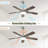 42 Inch Ceiling Fan 5 Blades Noiseless Reversible Dc Motor Remote Control With Led Light