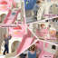 LeFluffy Indoor Slide
