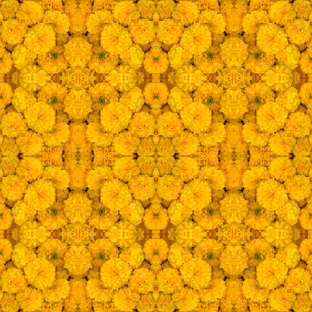 Marigold Nahtlose Muster Hintergrund von Joloei - Leinwandbild