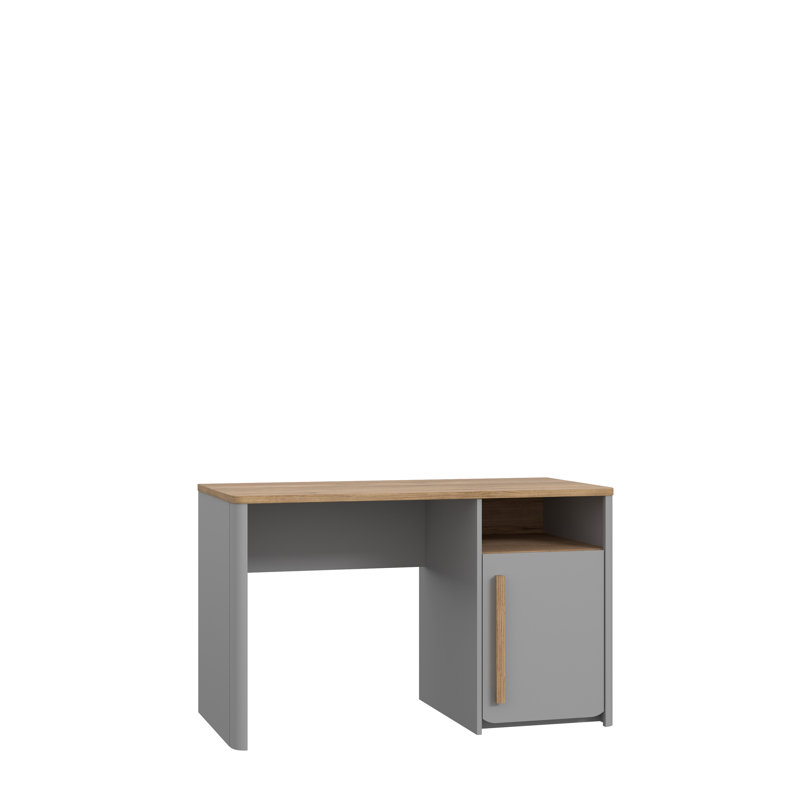 Phineas Commercial Use 120Cm W Rectangle Computer Desk with Cabinet