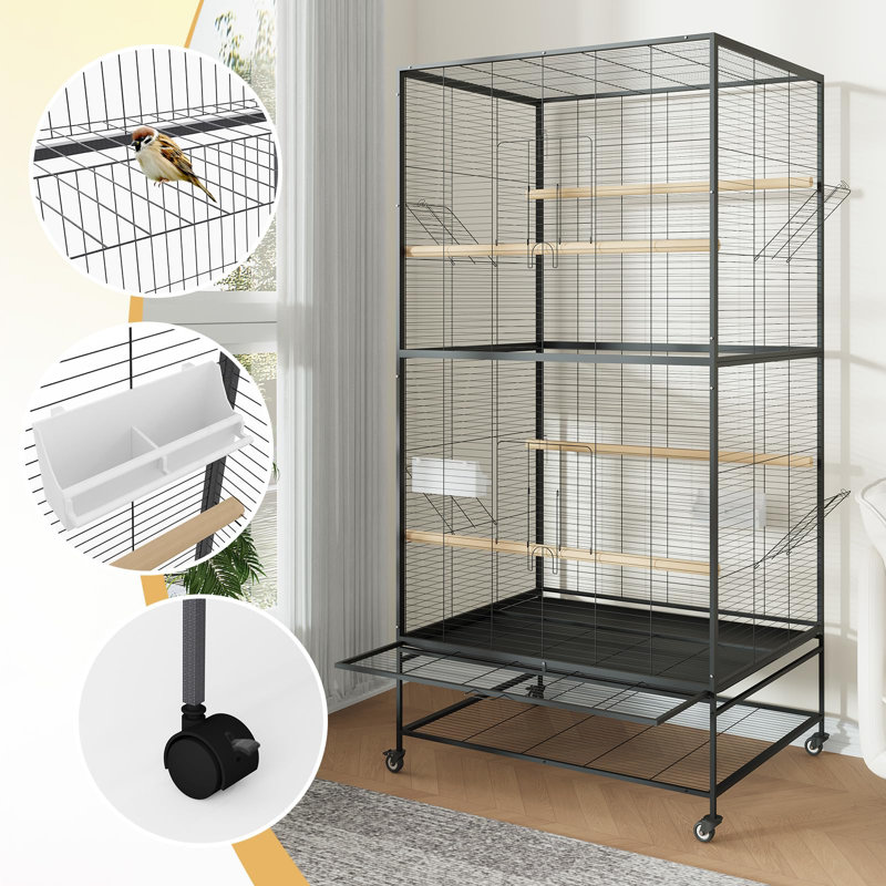 Bird Cage