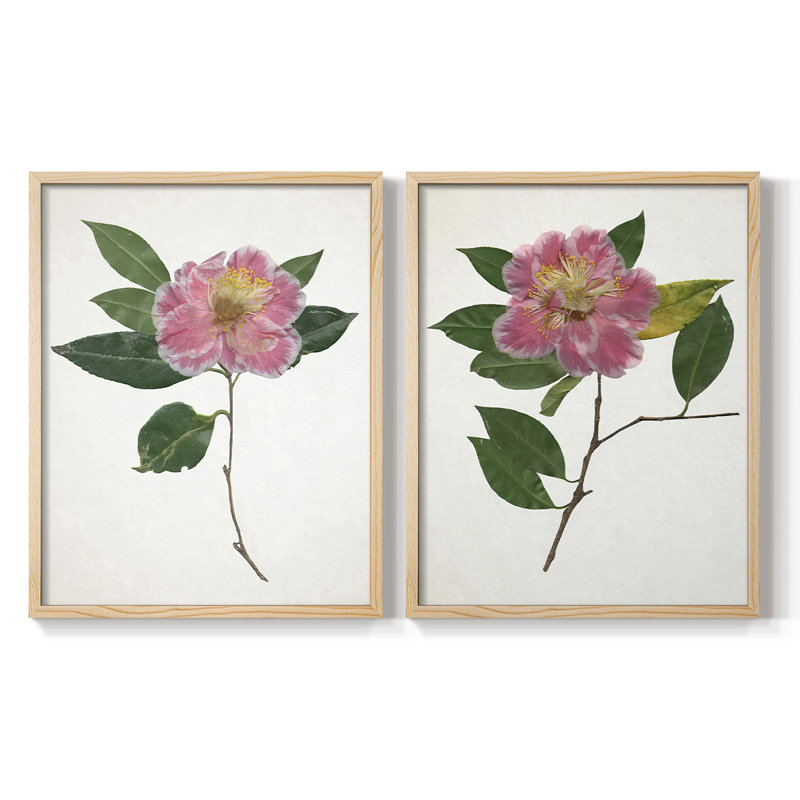 Imprimé encadré PressedCamelliaI-Premium - prêt à être accroché - aucun clou requis - aucun clou requis, Doré
