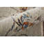 Tapis ivoire / bleu Benedetto Oushak-1825662878