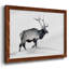 Lone Bull-96291319-96291315