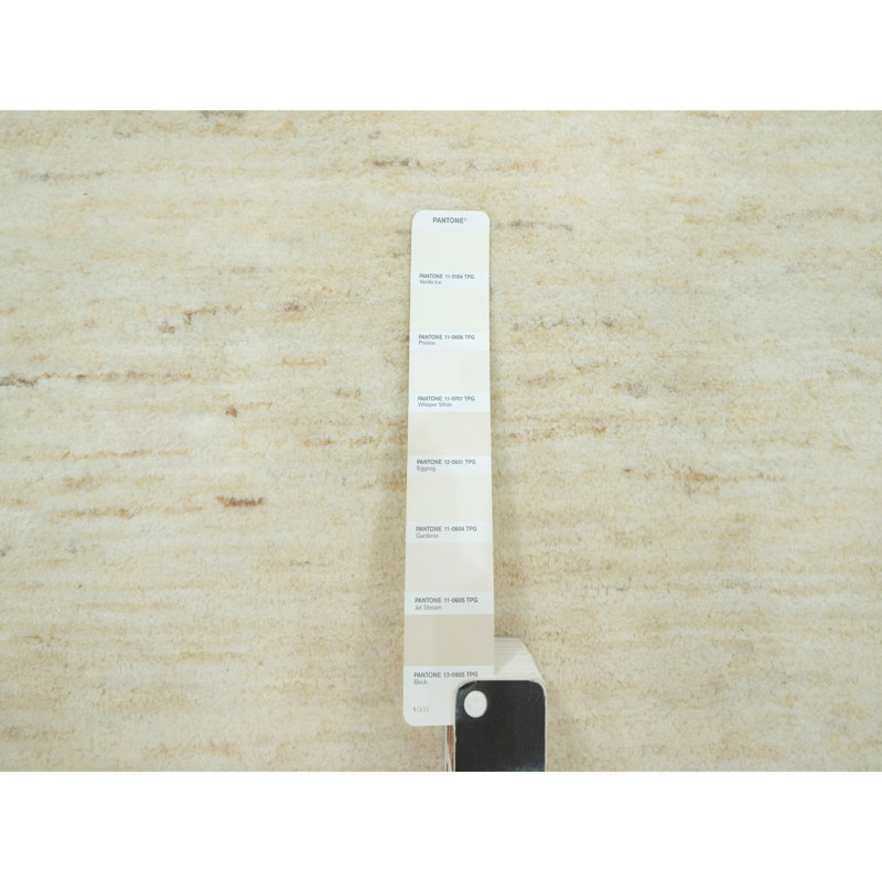 Tapis ivoire en laine New Age Rectangle 5 pi x 6 pi 8 po Caprecia