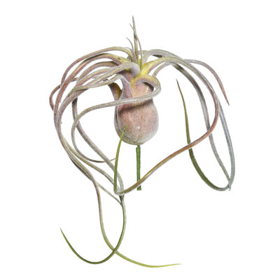 Tige de tillandsia de troupeau artificielle
