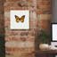 «Papillon jaune 1» par PhotoINC Studio-344091654