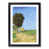 Black Framed