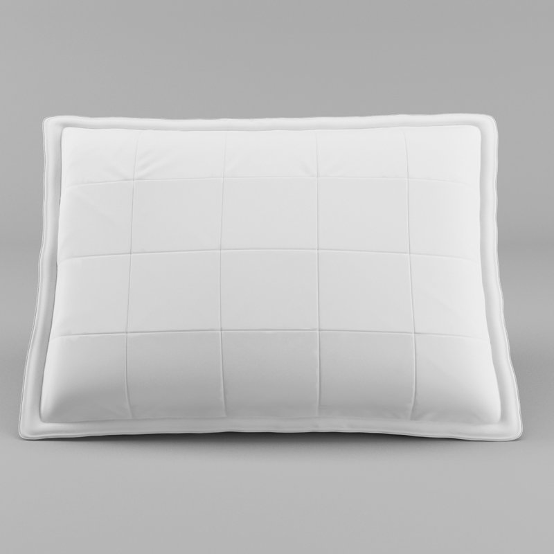 Oreiller en duvet d'oie Kittredge, Très grand