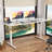 Oishee Electric Adjustable Standing Desk-1679924622-1698230358