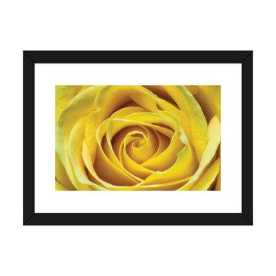 Jaune rose par Glauco Meneghelli-impression