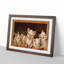 Prize Pigs - Picture Frame Painting Print-55601561-55601563