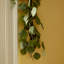 Cupp 64'' in. Faux Eucalyptus Garland