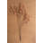  Faux Blush Rice Flower Stem – 40" Tall Decorative Floral Accent Set Of 6-706989562