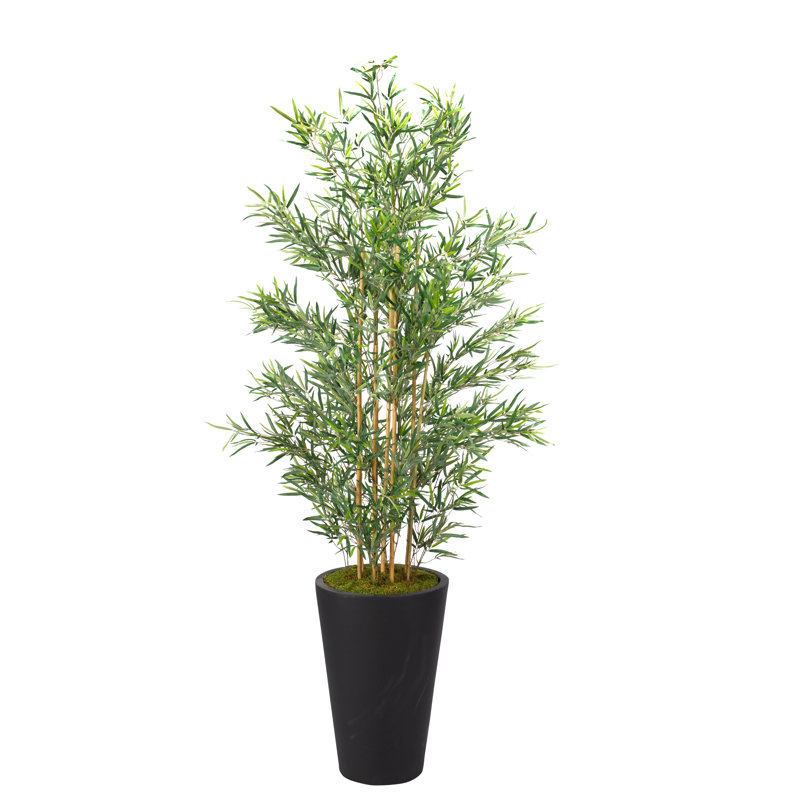 Arbre de bambou en pot de fleurs