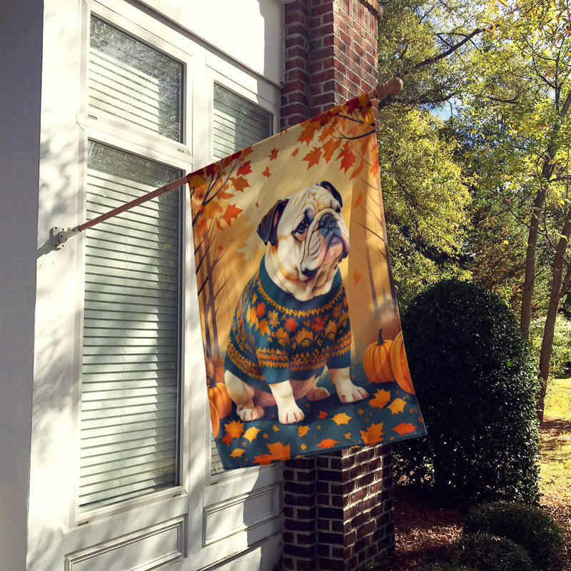 Double Sided 40'' H x 28'' W Polyester House Flag