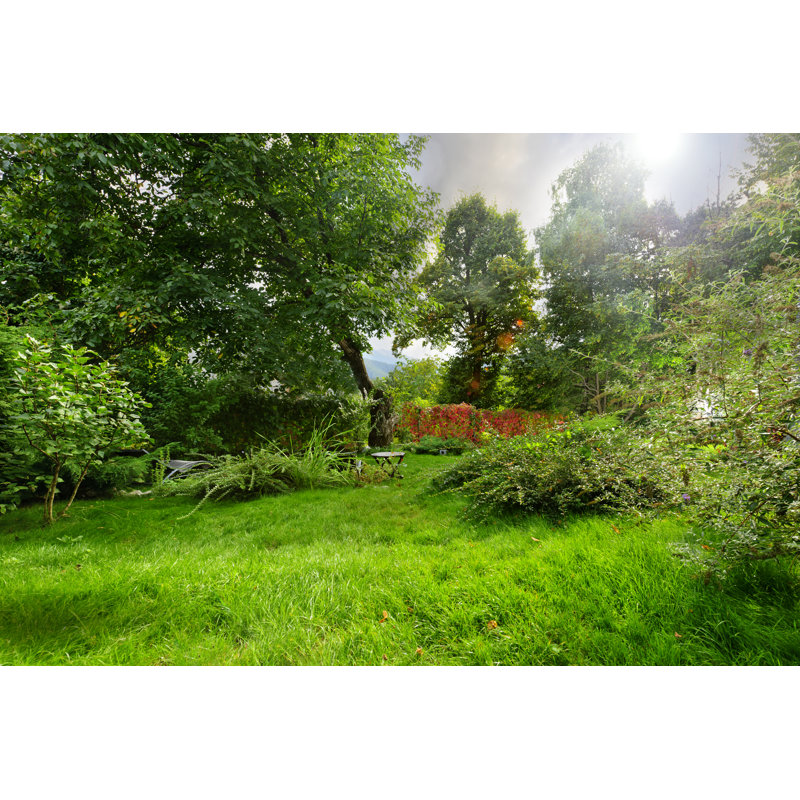Nature View by Stock_colors - Wrapped Canvas Print, 20cm H x 30cm W