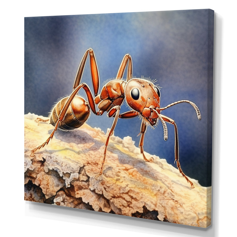 «Tiny Ant III», reproduction d'art sur toile, Toile tendue, H 36 po x l 36 po x P 1,5 po