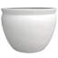14" Sky Blue Fishbowl-1613852640-1629902150