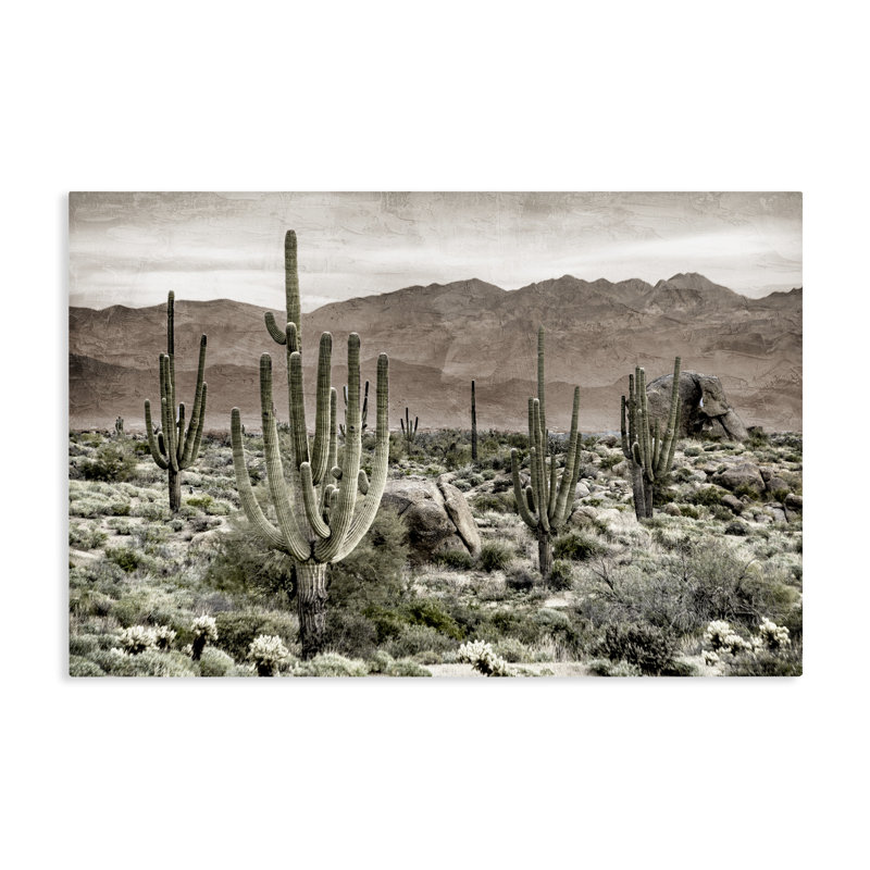 Toile de désert, cactus, par Kim Allen, H 16 po x l 24 po
