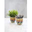 KitchenCraft Seagrass Plant Striped