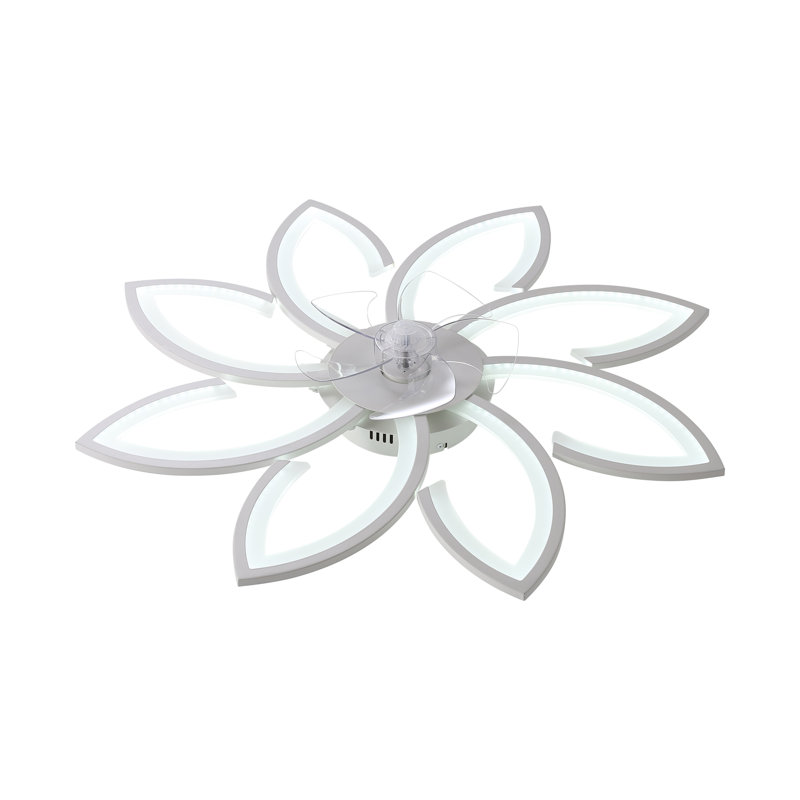 Ceiling Fan with LED Lights