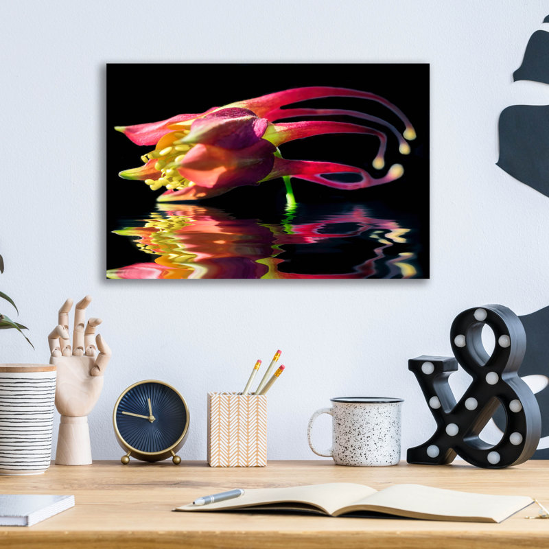 «Columbine Reflection» par Pamela Plummer, H 12 po x l 16 po x P 0,13 po