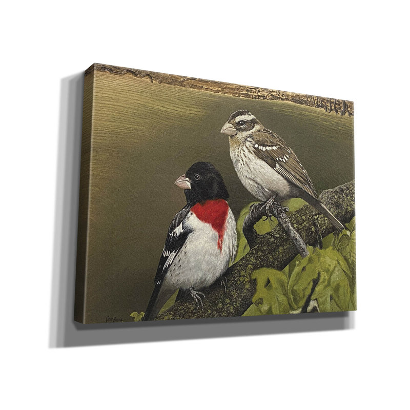 «Epic Graffiti» «Rose Breasted Grosbeak pair» par Jim Brune, art mural sur toile, 34 po x 26 po, H 26 po x l 34 po