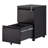 15'' Wide 2 -Drawer Mobile Steel File Cabinet-1041368401