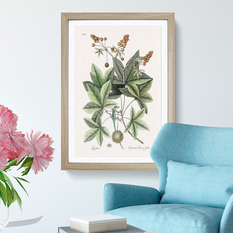 Green Lizard by Mark Catesby - Picture Frame Painting Print, Oak Framed, 36cm H x 27cm W x 2cm D