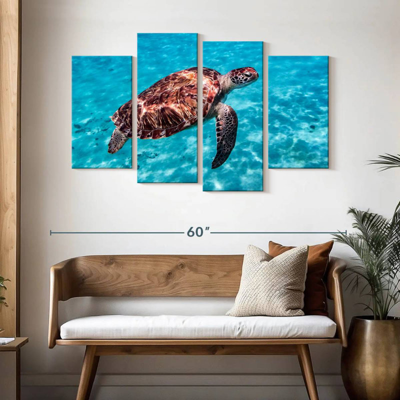 Tortue rouge