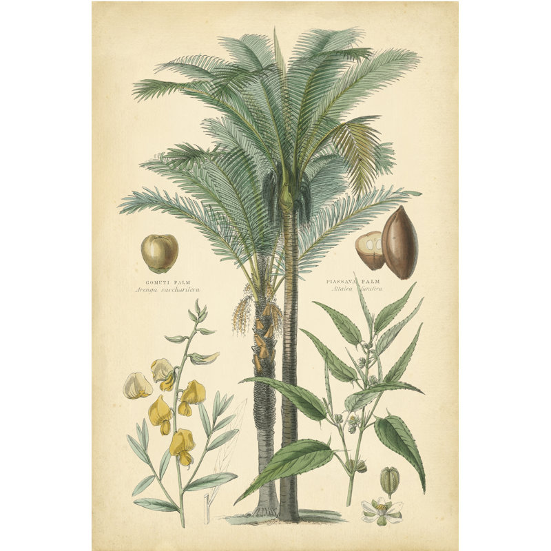 Fruitier I (SP), H 30 po x l 20 po x P 1,25 po