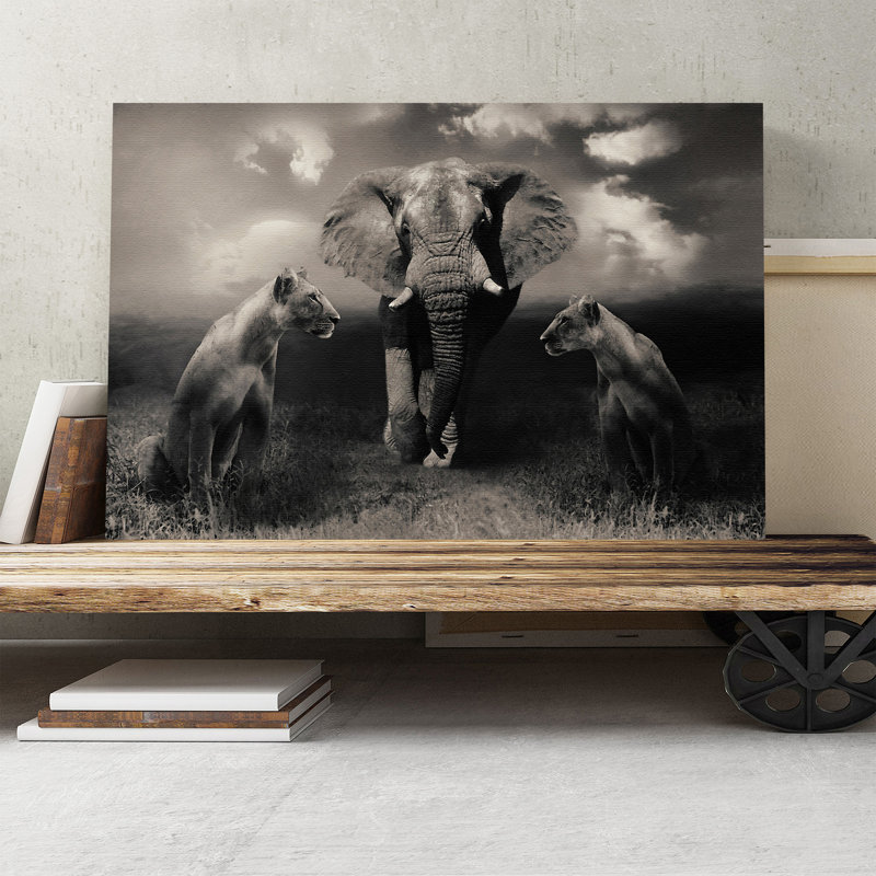 Wrapped Canvas Print, 40cm H x 60cm W