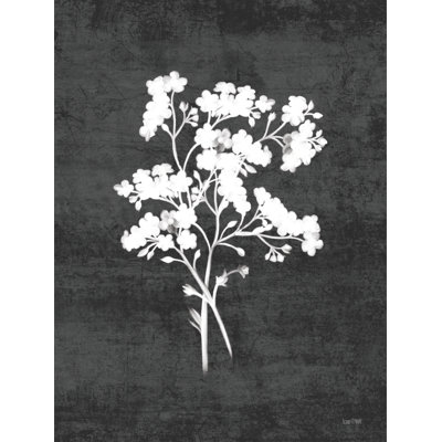 Wild Milkweed II par House Fenway