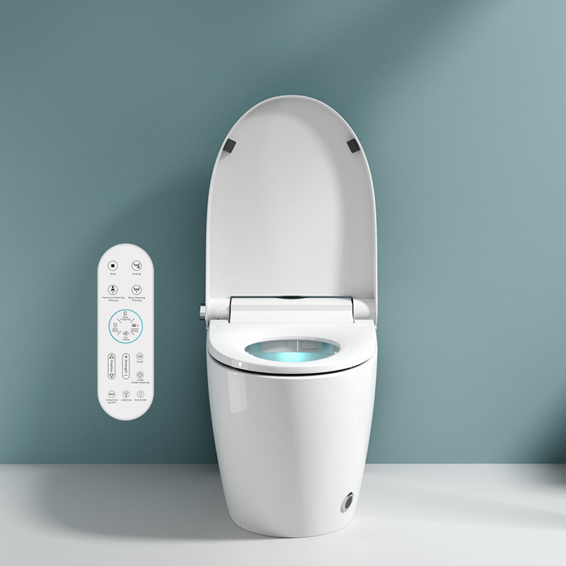 Ivy Bronx Ajtene 0L LPF Elongated Floor Mounted Bidet Toilet (Seat Not Included)