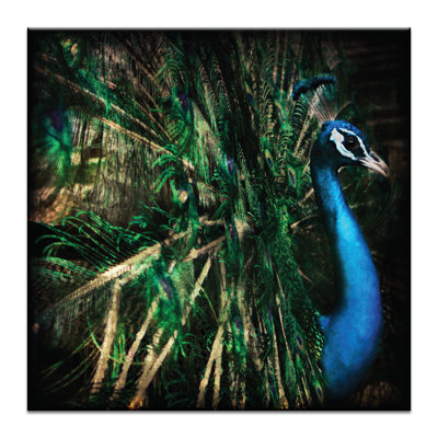 Andrew Paranavitana - Wrapped Canvas Print