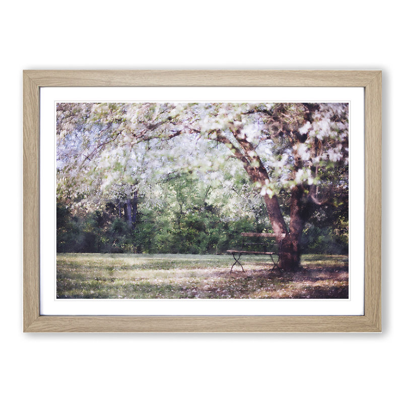 Blossom Tree in a Park - Framed Print, Oak Framed, 27cm H x 36cm W x 2cm D