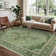 Jalen Green Oriental Indoor/Outdoor Machine Washable Area Rug