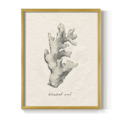 Shore Treasure Study II, reproduction encadrée - bois massif