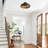 1-lamp Sand Black Adjustable Iron Ceiling Light