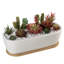 Indoor Ceramic Flower Pot Planter-2131947554