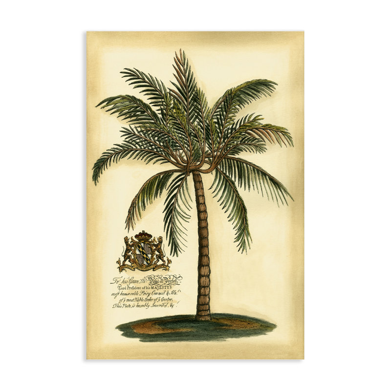 Toile British Colonial Palm, conception par Vision Studio, H 24 po x l 16 po