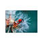 Boze Wall Decor