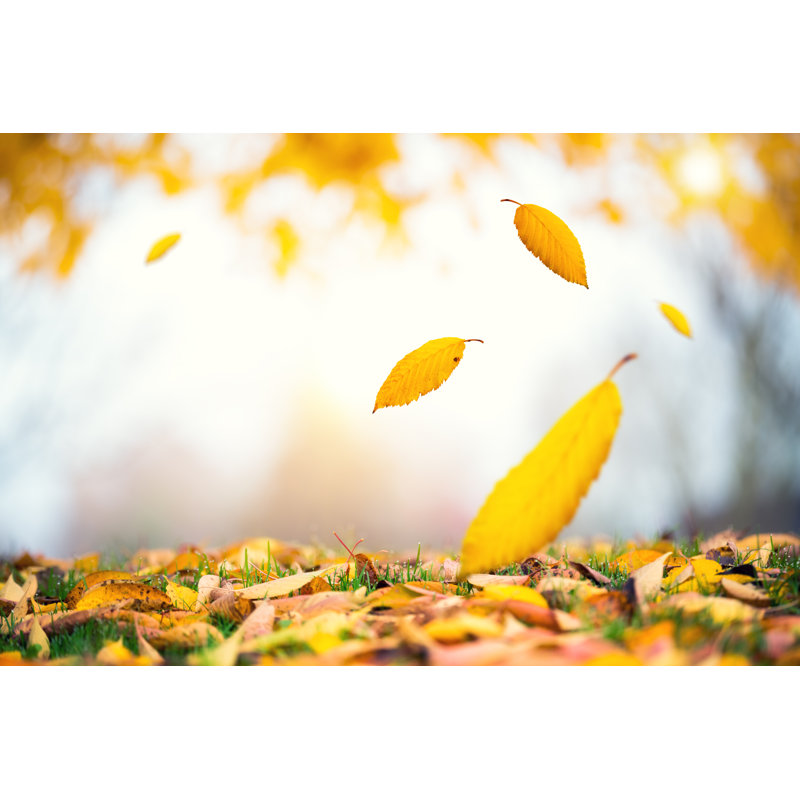 Falling Autumn Leaves by Borchee, 8" H x 12" W