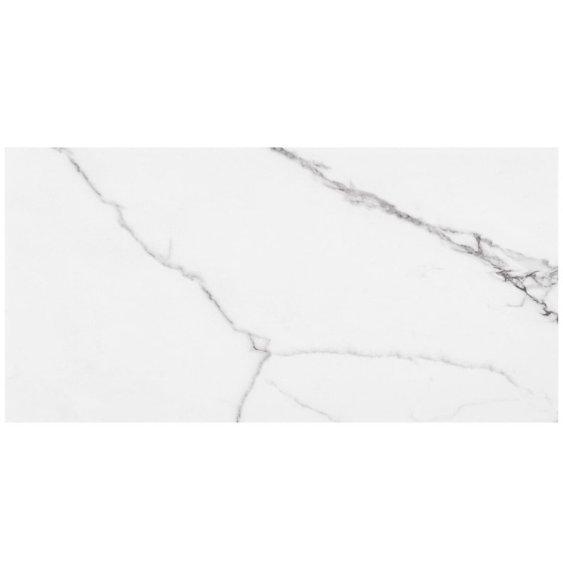 Dreamstone 12X24 Matte Porcelain Tile, Statuario Venato Matte